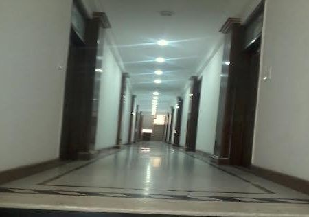 Om Palace New Delhi Bagian luar foto